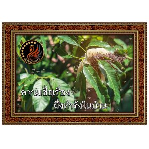 ผึ้งทำรังในบ้าน