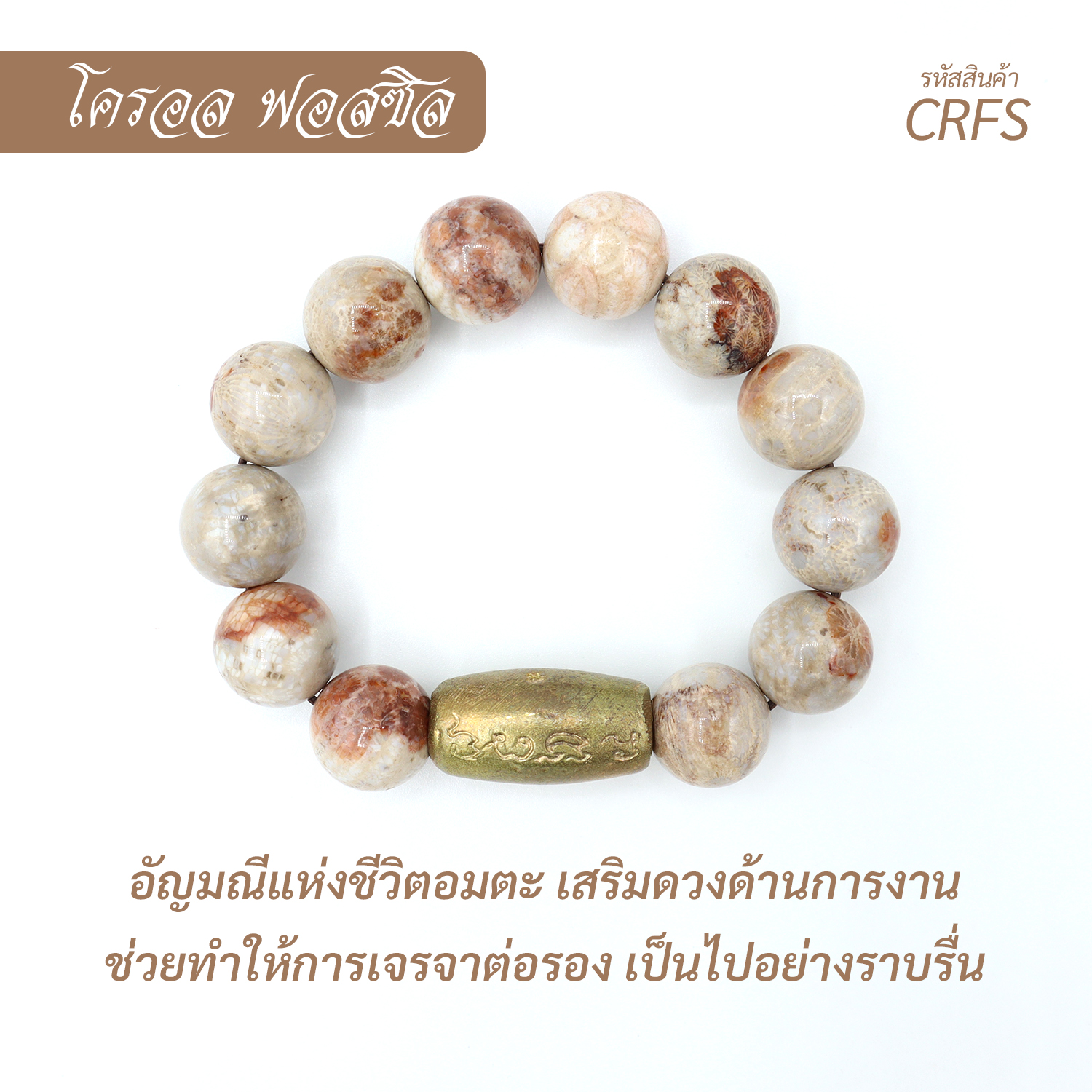 กำไล หินโครอล ฟอสซิล Coral Fossil