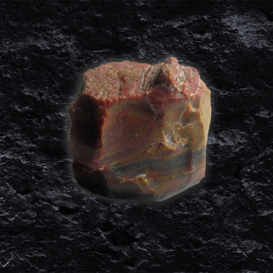 ไม้กลายเป็นหิน (Petrified Wood)